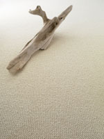 driftwood