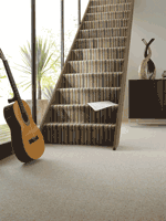 carpet fitters lizard peninsula